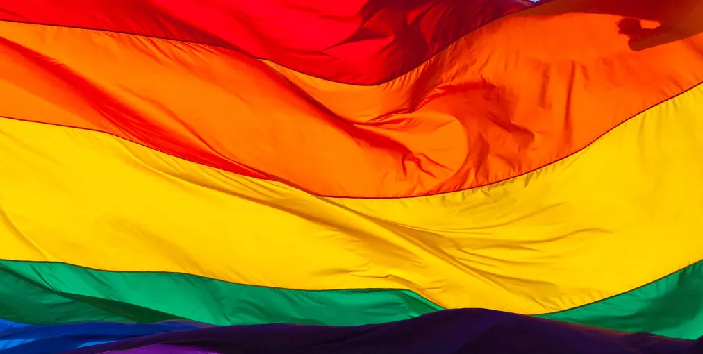 অনিবার্যতা: যখন LGBT ব্যাকফায়ার সমর্থন করে